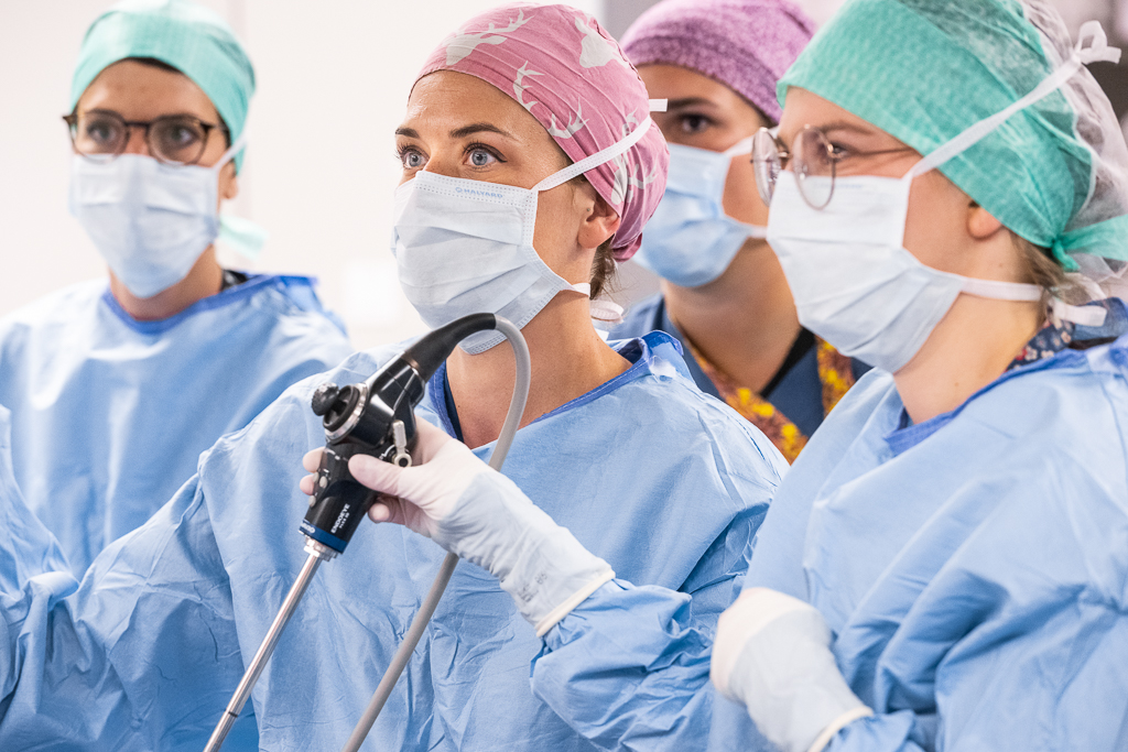 Chirurgie digestive et endocrinienne - vasculaire et thoracique 2